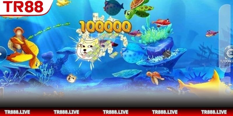 Chiến thuật nâng cao hiệu quả bắn chính xác